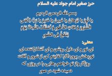 herz saghir